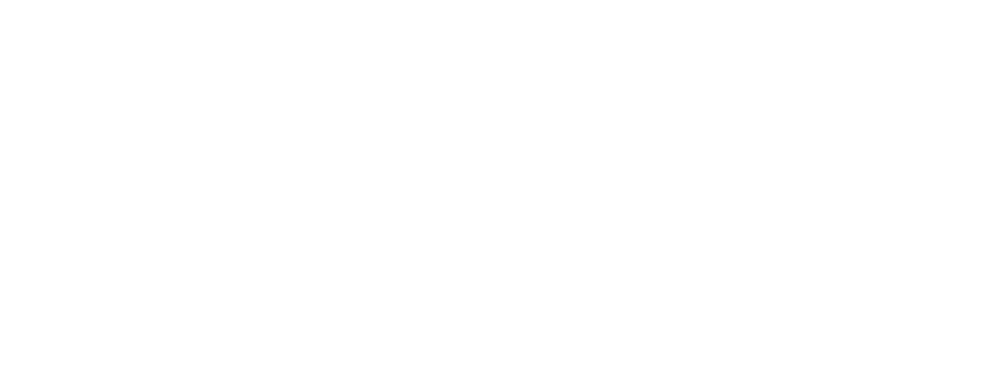 A NIGHT IN BERLIN Logo